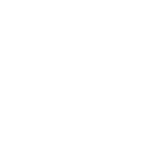 8+ Տարվա փորձ